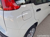  Fiat  Panda FIAT  / 2012 / 5P / BERLINA 1.3 MJT 80 CV VAN EURO6 SeS 4 POSTI EASY #50