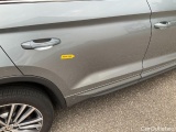  Skoda  Kodiaq  L&K 4x4 2.0 TDI 147KW AT7 E6d #20