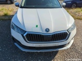  Skoda  Octavia  Combi Scout 4x4 2.0 TDI 110KW AT7 E6d #28
