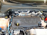  Ford  Focus 2.0 EcoBlue Start-Stopp-System ST-LINE Manual Diesel  13 #60