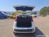  Fiat  Panda FIAT  / 2012 / 5P / BERLINA 1.2 69 CV VAN EURO6D 4 POSTI EASY #5