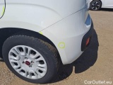  Fiat  Panda FIAT  / 2012 / 5P / BERLINA 1.2 69 CV VAN EURO6D 4 POSTI EASY #52