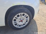  Fiat  Panda FIAT  / 2012 / 5P / BERLINA 1.2 69 CV VAN EURO6D 4 POSTI EASY #77