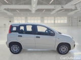  Fiat  Panda FIAT  / 2012 / 5P / BERLINA 1.2 69 CV VAN EURO6D 4 POSTI EASY #7