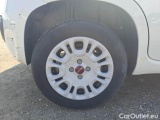  Fiat  Panda FIAT  / 2012 / 5P / BERLINA 1.2 69 CV VAN EURO6D 4 POSTI EASY #18