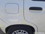  Fiat  Panda FIAT  / 2012 / 5P / BERLINA 1.2 69 CV VAN EURO6D 4 POSTI EASY #56