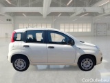  Fiat  Panda FIAT  / 2012 / 5P / BERLINA 1.2 69 CV VAN EURO6D 4 POSTI EASY #7