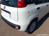  Fiat  Panda FIAT  / 2012 / 5P / BERLINA 1.2 69 CV VAN EURO6D 4 POSTI EASY #31