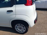  Fiat  Panda FIAT  / 2012 / 5P / BERLINA 1.2 69 CV VAN EURO6D 4 POSTI EASY #35