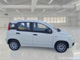  Fiat  Panda FIAT  / 2012 / 5P / BERLINA 1.2 69 CV VAN EURO6D 4 POSTI EASY #7