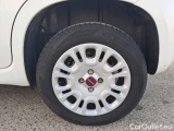  Fiat  Panda FIAT  / 2012 / 5P / BERLINA 1.2 69 CV VAN EURO6D 4 POSTI EASY #19