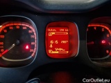  Fiat  Panda FIAT  / 2011 / 5P / BERLINA 1.2 69CV E6D-TEMP EASY #4