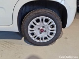  Fiat  Panda FIAT  / 2011 / 5P / BERLINA 1.2 69CV E6D-TEMP EASY #19