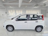  Fiat  Panda FIAT  / 2011 / 5P / BERLINA 1.0 70CV SeS HYBRID #8