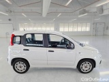  Fiat  Panda FIAT  / 2011 / 5P / BERLINA 1.0 70CV SeS HYBRID #7