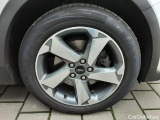  Ford  Focus  Turnier Active 1.5 EcoBlue 88KW AT8 E6d #104
