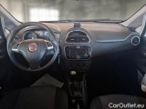  Fiat  Punto FIAT  2013 5 PORTE BERLINA 1.3 MULTIJET II STREET 75CV DPF EU5+ #3