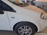  Fiat  Punto FIAT  2013 5 PORTE BERLINA 1.3 MULTIJET II STREET 75CV DPF EU5+ #36