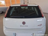  Fiat  Punto FIAT  2013 5 PORTE BERLINA 1.3 MULTIJET II STREET 75CV DPF EU5+ #51