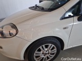  Fiat  Punto FIAT  2013 5 PORTE BERLINA 1.3 MULTIJET II STREET 75CV DPF EU5+ #66