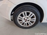  Fiat  Punto FIAT  2013 5 PORTE BERLINA 1.3 MULTIJET II STREET 75CV DPF EU5+ #110