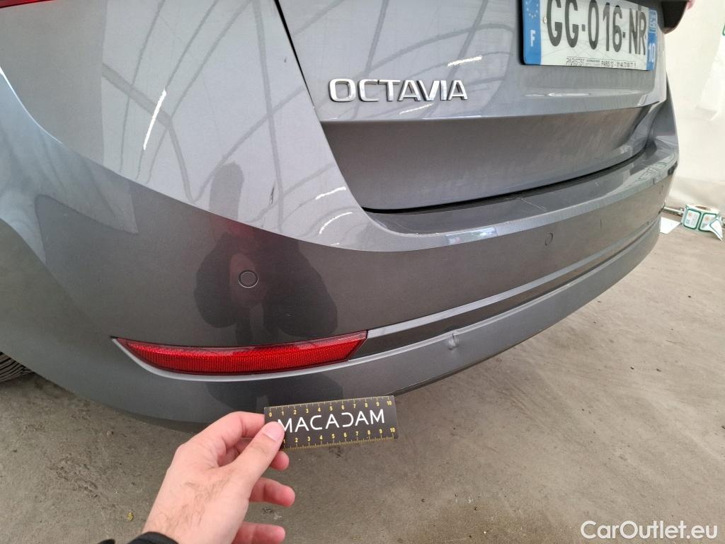  Skoda  Octavia  Break Business 2.0 TDI 115CV BVA7 E6d #1