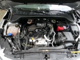  Ford  Focus  Turnier Active 1.5 EcoBlue 85KW AT8 E6d #12