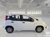  Fiat  Panda FIAT  / 2011 / 5P / BERLINA 1.0 70CV SeS HYBRID #7