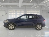 Ford  Kuga FORD  / 2019 / 5P / SUV 1.5 ECOBLUE 120CV 2WD CONNECT AUTO #8