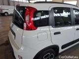  Fiat  Panda FIAT  / 2011 / 5P / BERLINA 1.0 70CV SeS HYBRID CITY LIFE #31
