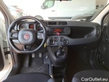  Fiat  Panda FIAT  / 2011 / 5P / BERLINA 1.2 69CV SeS E6D-TEMP EASY #3