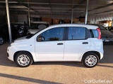  Fiat  Panda FIAT  / 2011 / 5P / BERLINA 1.2 69CV SeS E6D-TEMP EASY #8