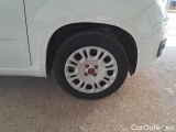  Fiat  Panda FIAT  / 2011 / 5P / BERLINA 1.2 69CV SeS E6D-TEMP EASY #17