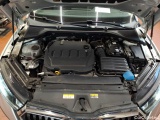  Skoda  Octavia Combi 2.0 TDI DSG First Edition Automatic Diesel  12 #18