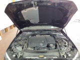  Mercedes  C-Klasse 200 d T 9G-TRONIC - Automatic Diesel/Electric  45 #19