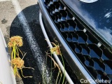  Hyundai  Konna 1.6 CRDI 136 MHEV 48V DCT-7 EXECUTIVE #24