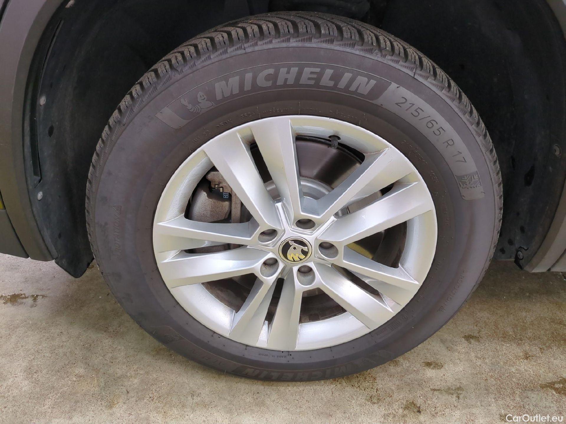  Skoda  Kodiaq  Business 2.0 TDI 150CV BVA7 E6d #1