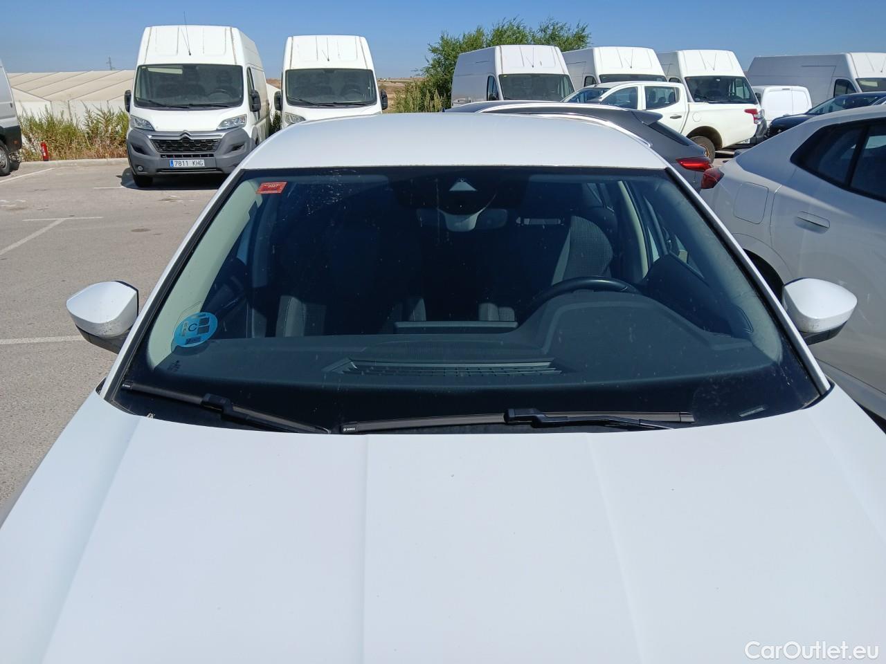  Skoda  Octavia  Berlina Ambition 2.0 TDI 115CV MT6 E6d #9
