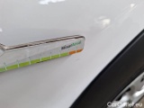  Citroen  C3 CITROEN  / 2020 / 5P / BERLINA BLUEHDI 100 SeS BUSINESS COMBI #35