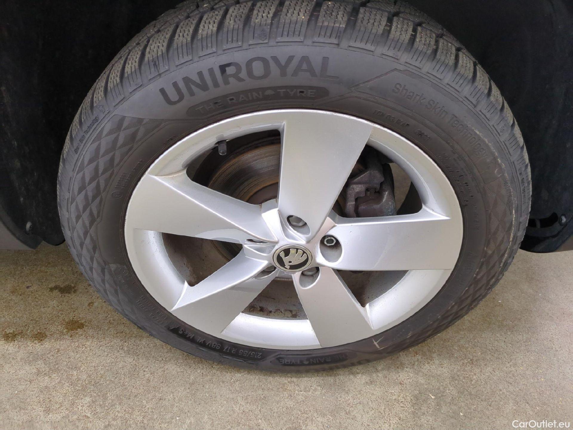  Skoda  Karoq  Business 2.0 TDI 115CV BVM6 E6d #1