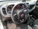  Fiat  Panda FIAT  / 2011 / 5P / BERLINA 1.0 70CV SeS HYBRID CITY LIFE #64