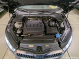  Skoda  Octavia  Lim. First Edition 2.0 TDI 110KW AT7 E6dT #19