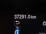  Ford  Focus Turnier 1.0 EcoBoost Hybrid Aut. COOL&CONNECT Automatic Petrol/Electric  19 #24