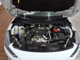  Ford  Focus Turnier 1.5 EcoBlue Start-Stopp-System Aut. TITANIUM Automatic Diesel  21 #18