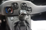  Fiat  Panda  City Life 1.0 51KW MT6 E6d #35