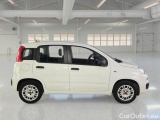  Fiat  Panda FIAT  / 2011 / 5P / BERLINA 1.2 69CV E6 EASY #7