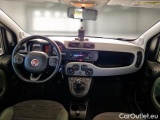  Fiat  Panda FIAT  / 2011 / 5P / BERLINA 1.3 MJT 95CV SeS E6 4X4 #3