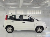  Fiat  Panda FIAT  / 2011 / 5P / BERLINA 1.2 69CV SeS E6D-TEMP EASY #7