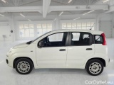 Fiat  Panda FIAT  / 2011 / 5P / BERLINA 1.2 69CV SeS E6D-TEMP EASY #8