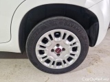  Fiat  Panda FIAT  / 2011 / 5P / BERLINA 1.2 69CV SeS E6D-TEMP EASY #19